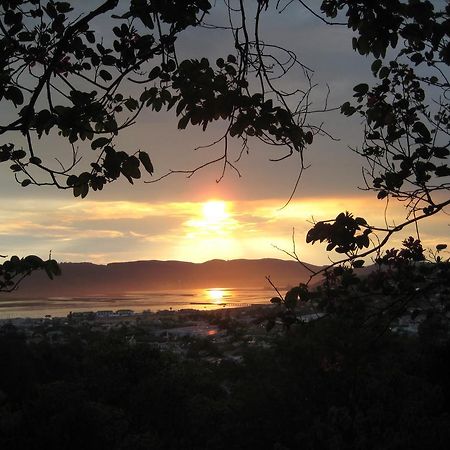 Mount Joy Cottages Knysna Dış mekan fotoğraf