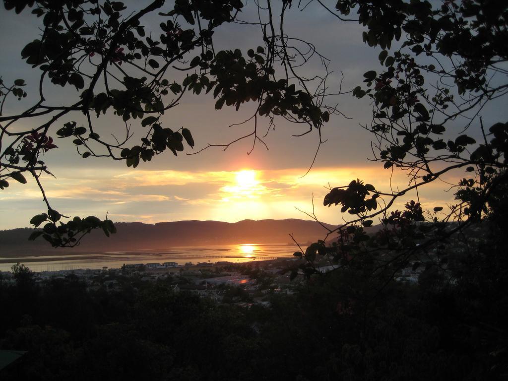 Mount Joy Cottages Knysna Dış mekan fotoğraf